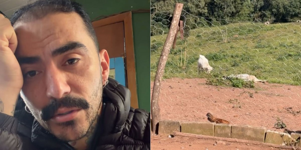 Influenciador que filmou suposto OVNI denuncia morte de animal da sua fazenda: 'Vocês são horríveis'