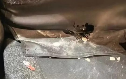 Dois homens são detidos após jogarem artefato explosivo em viatura policial