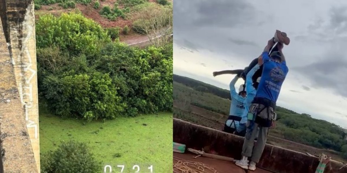 Mais três suspeitos são presos por ocultação de provas em caso de jovem morta em salto de rope jump