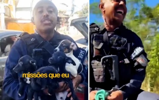 Policial vibra após resgatar 15 cães vítimas de maus-tratos na Bahia
