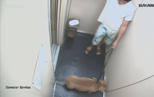 Homem é suspeito matar o próprio cachorro afogado em praia de Copacabana