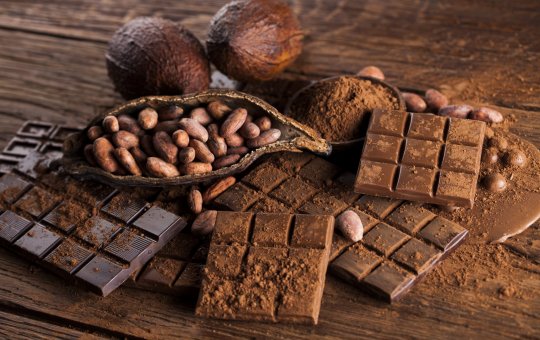 Dia Mundial do Chocolate celebra a força da Bahia na produção de cacau