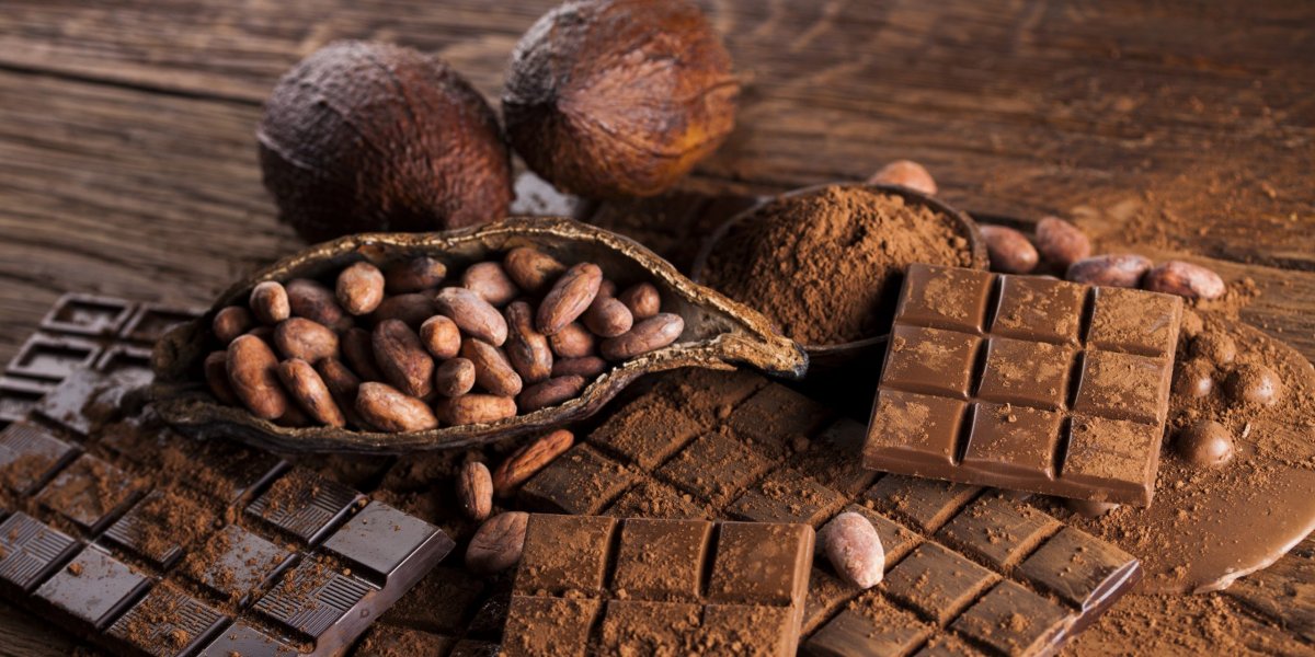 Dia Mundial do Chocolate celebra a força da Bahia na produção de cacau