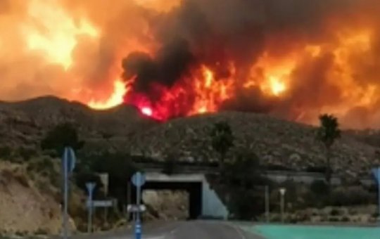 Incêndio florestal deixa 12 mortos em Almería, no sul da Espanha