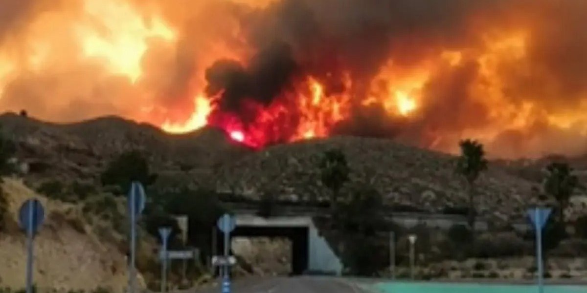 Incêndio florestal deixa 12 mortos em Almería, no sul da Espanha