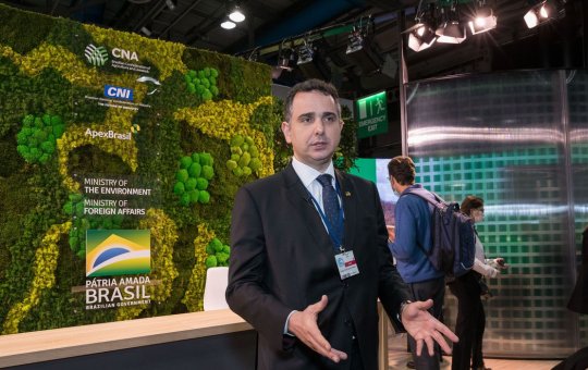 Pacheco: Brasil deve reconhecer desmatamento ilegal e fazer mea-culpa