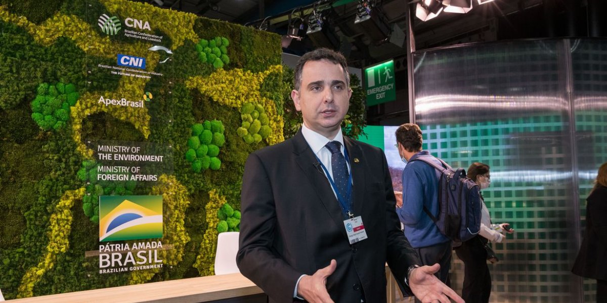 Pacheco: Brasil deve reconhecer desmatamento ilegal e fazer mea-culpa