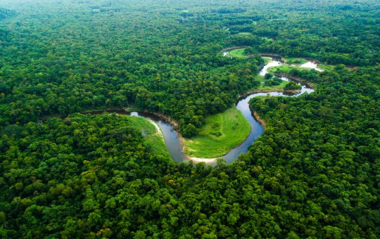 Como a poeira do Deserto do Saara ajuda a manter viva a Floresta Amazônica