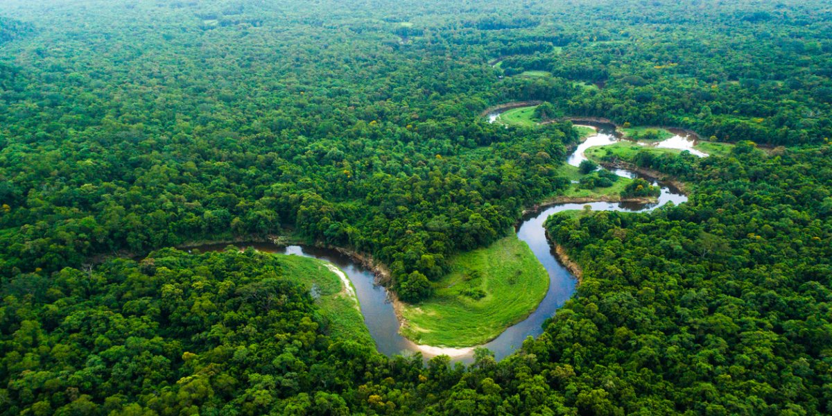 Como a poeira do Deserto do Saara ajuda a manter viva a Floresta Amazônica