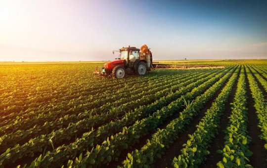 Tarifa dos EUA pode comprometer mais de 70% das exportações do agronegócio