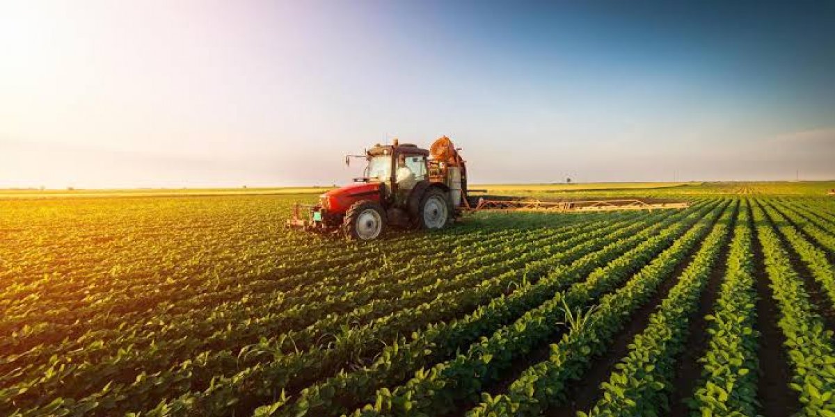 Tarifa dos EUA pode comprometer mais de 70% das exportações do agronegócio
