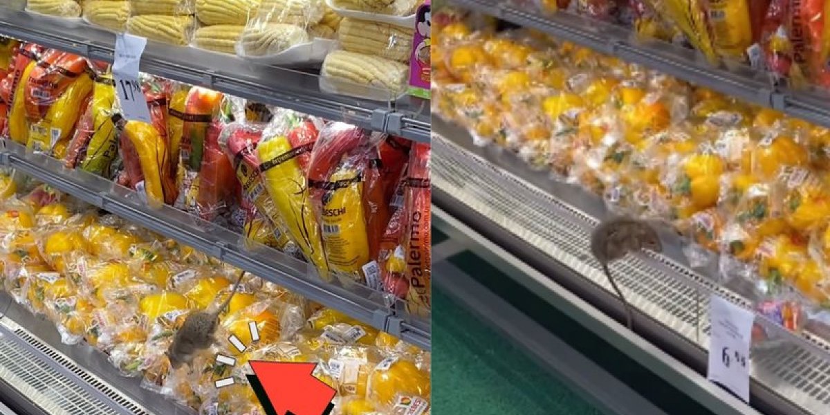 Rato é visto em cima de verduras em mercado de bairro nobre de Salvador