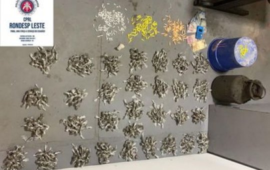 Com ajuda de cão farejador, Rondesp apreende 1.500 porções de drogas em Feira