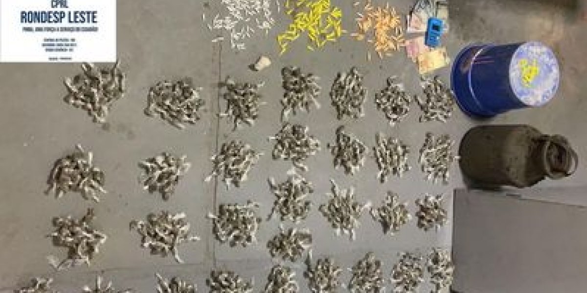 Com ajuda de cão farejador, Rondesp apreende 1.500 porções de drogas em Feira