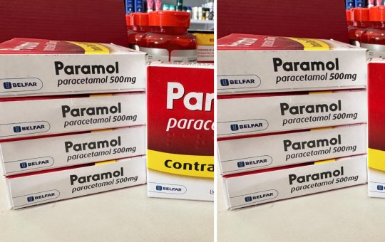 Anvisa suspende lote de paracetamol após identificar presença de fungos