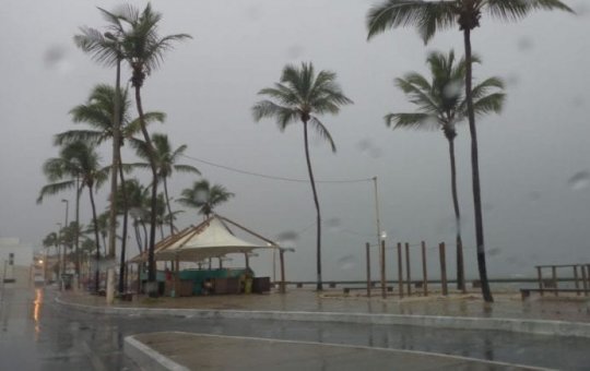 Inmet coloca 87 municípios da Bahia em alerta para vendaval com rajadas de até 60 km/h