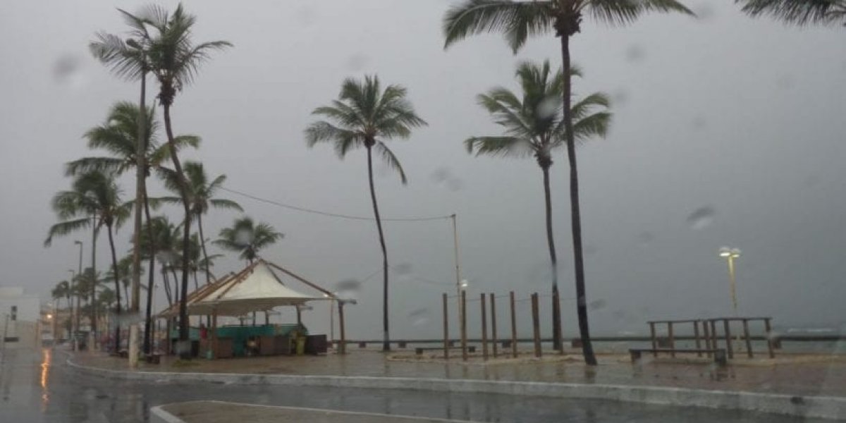 Inmet coloca 87 municípios da Bahia em alerta para vendaval com rajadas de até 60 km/h