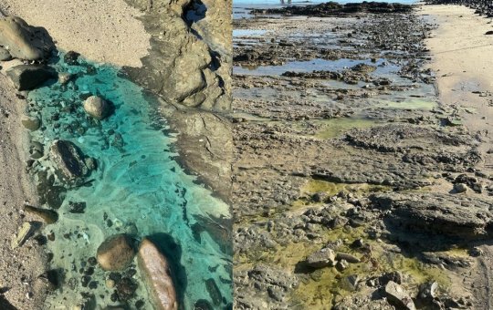 Prefeitura de Salvador prorroga situação de emergência em São Tomé de Paripe por mais 90 dias