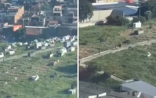 Suspeitos trocam tiros com a PM e morrem após confronto em cemitério de Salvador