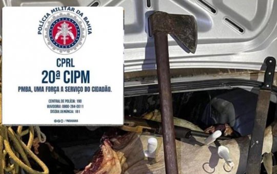 Polícia prende suspeitos de furtos de gados no interior da Bahia