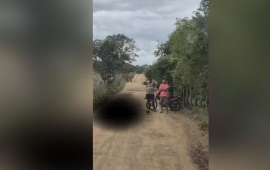 Idoso morre após cair de burro que se assustou e disparou no interior da Bahia