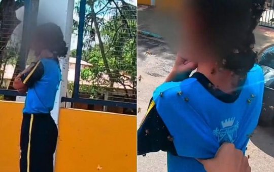 Adolescente atacada por mais de 100 abelhas fala pela 1ª vez na TV e agradece homem que a salvou