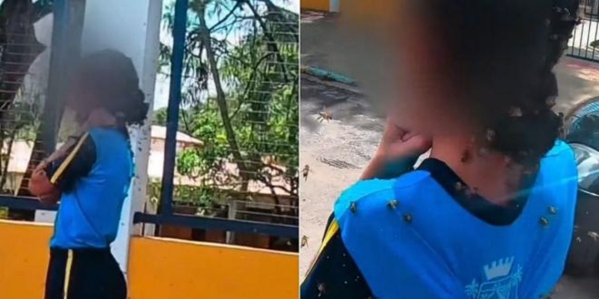 Adolescente atacada por mais de 100 abelhas fala pela 1ª vez na TV e agradece homem que a salvou