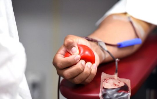 Tatuagem, piercing e canetas emagrecedoras: veja o que muda na doação de sangue