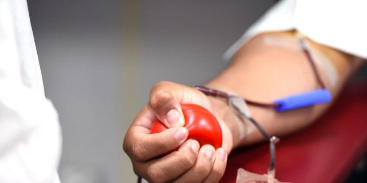 Tatuagem, piercing e canetas emagrecedoras: veja o que muda na doação de sangue