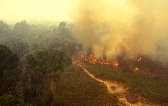 Fumaça de queimadas deixa qualidade do ar péssima em Manaus e outros cinco municípios do Amazonas