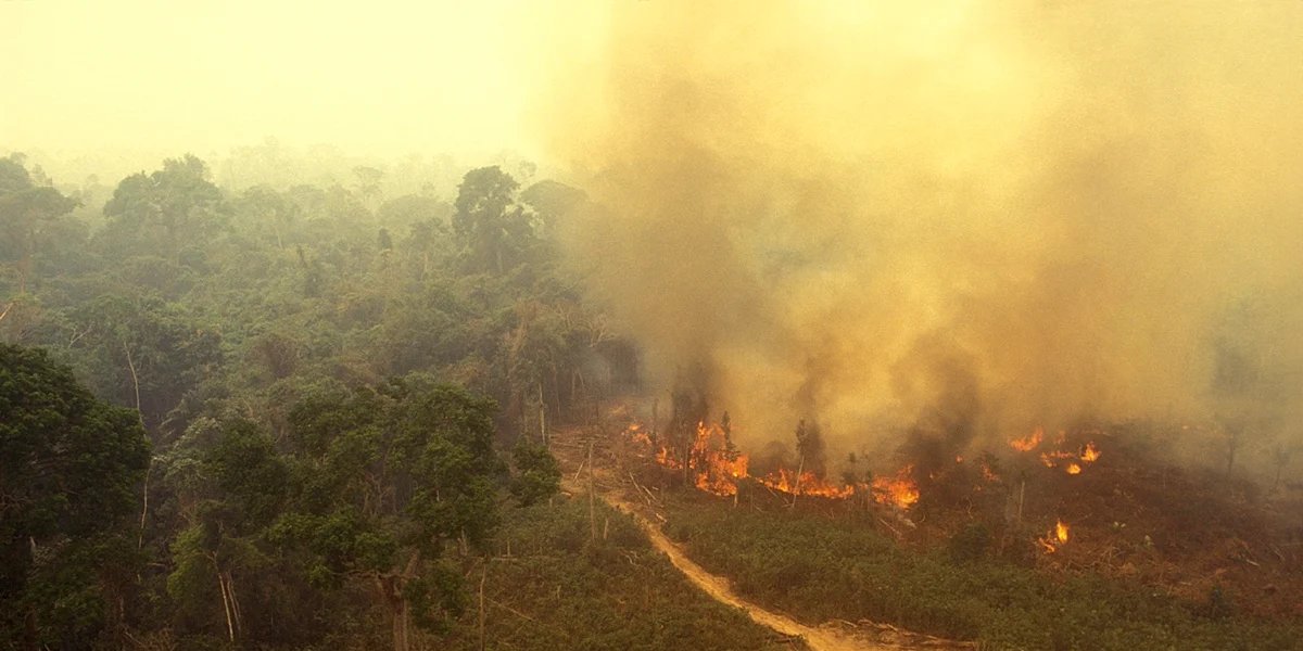 Fumaça de queimadas deixa qualidade do ar péssima em Manaus e outros cinco municípios do Amazonas