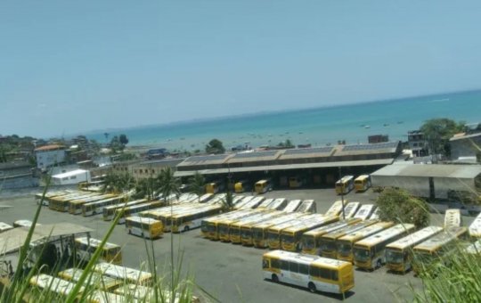 Vereadores articulam investigação sobre redução de ônibus em Salvador no dia da eleição