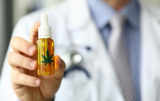 Anvisa aprova mais um produto medicinal à base de Cannabis
