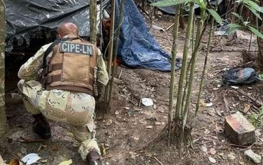 PM desmantela acampamento de traficantes no interior da Bahia