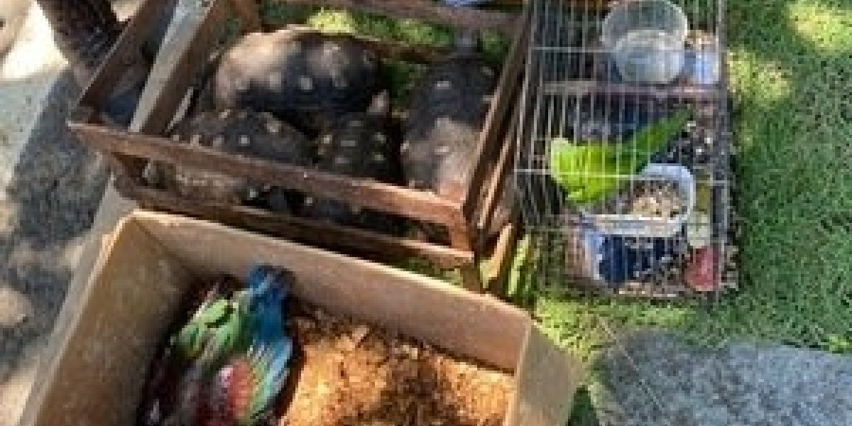 Polícia prende suspeito de tráfico de animais em extinção no Bairro da Paz